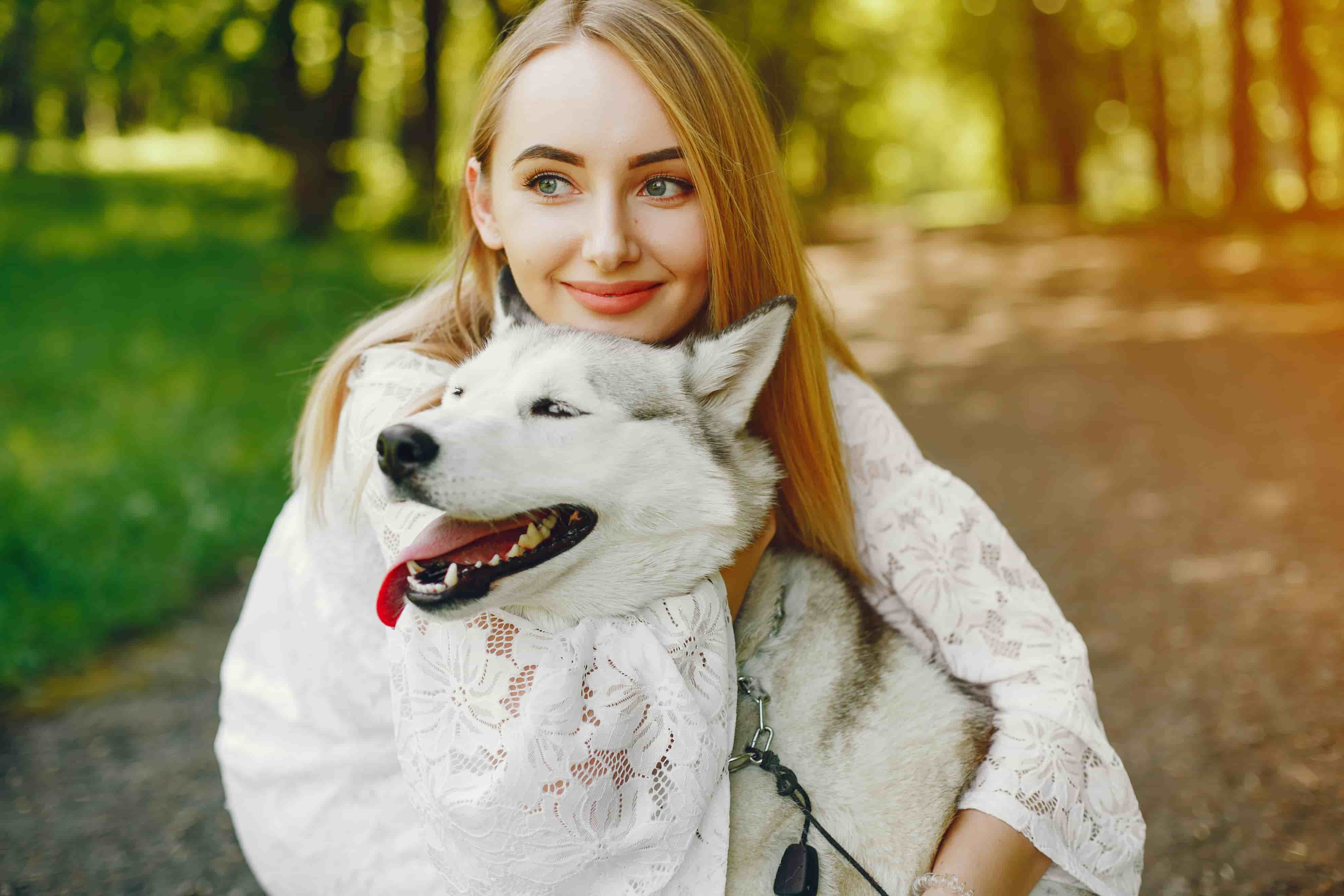 Így igazodnak hozzánk a kutyák étkezési szokásai Így igazodnak hozzánk a kutyák étkezési szokásai